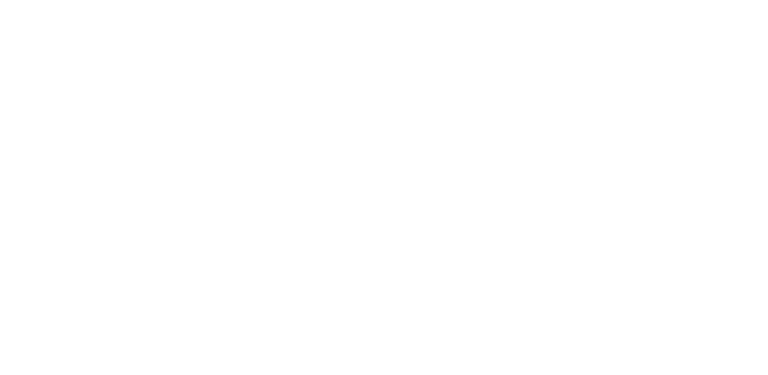 Logo de Desarrollo Total