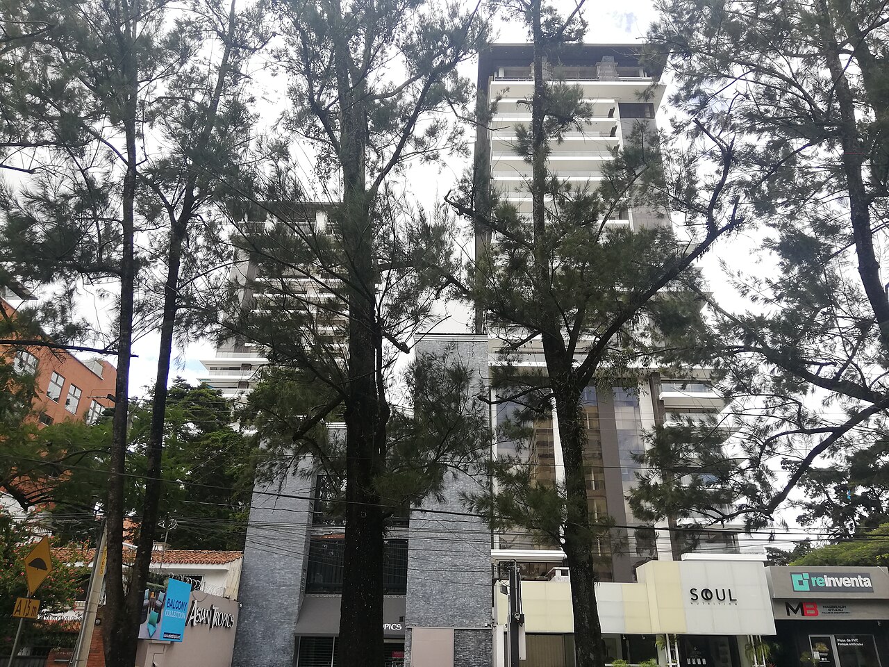 Torres Tiffany Novena, referencia 5 de Tiffany Novena